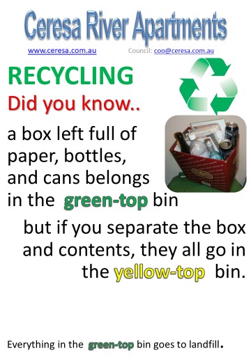 Separate items into rubbish and recycling