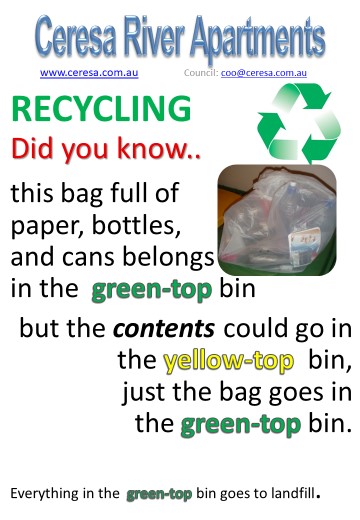 Separate items into rubbish and recycling